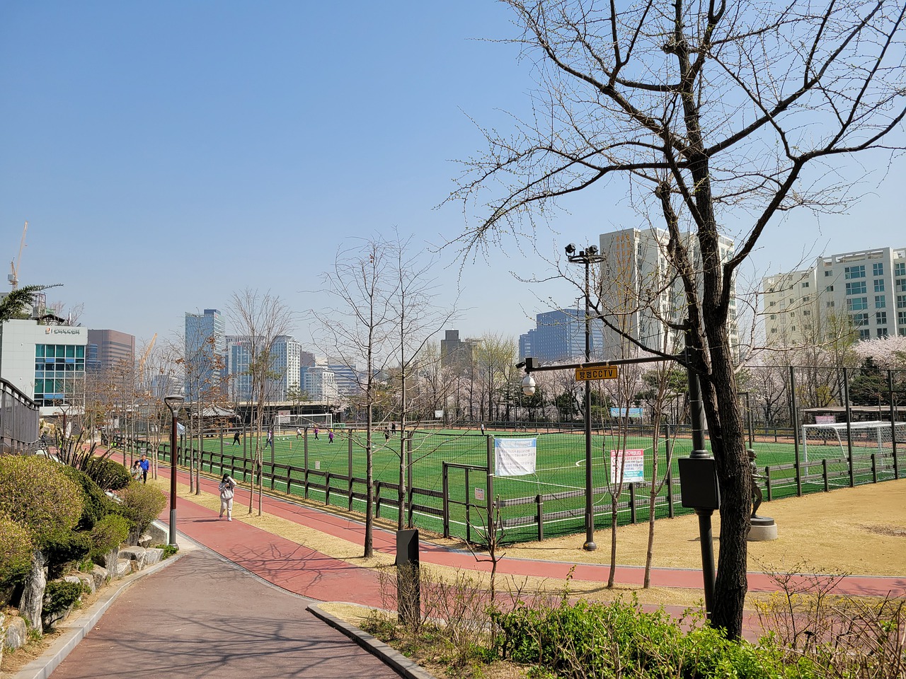 学习飞行的