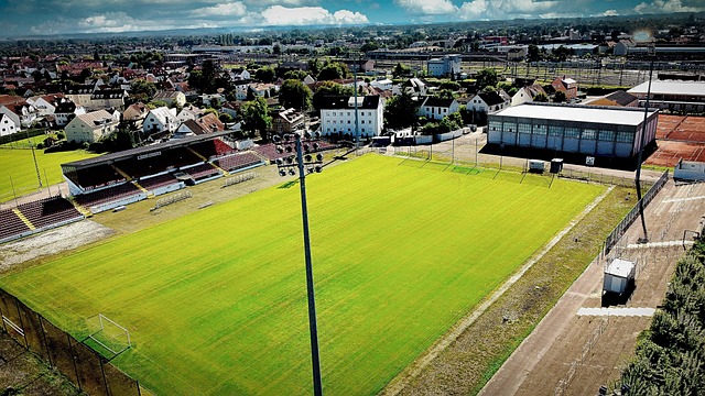 需要了解飞 需要了解飞